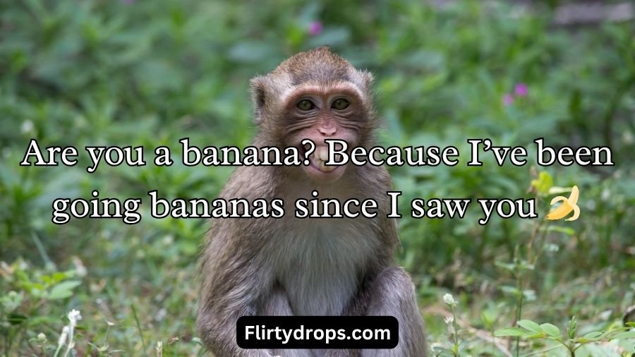 Monkey Pick Up Lines