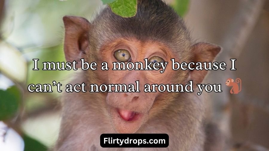 Monkey Pick Up Lines