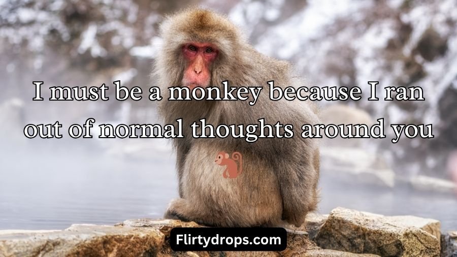 Monkey Pick Up Lines