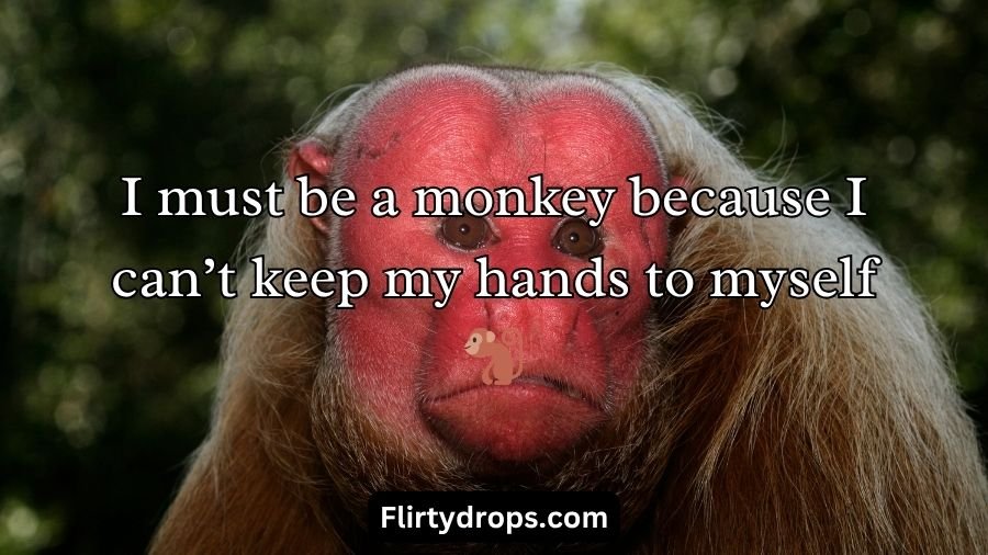 Monkey Pick Up Lines