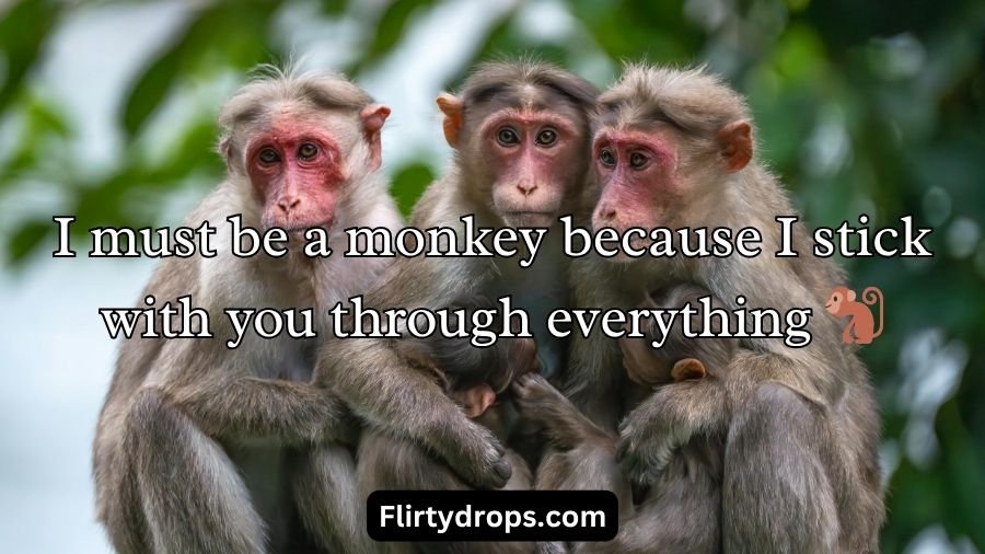 Monkey Pick Up Lines