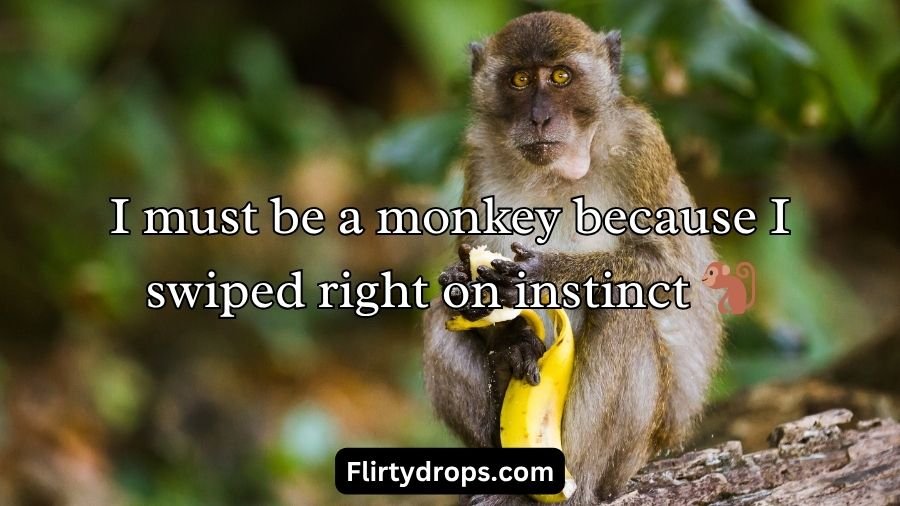 Monkey Pick Up Lines