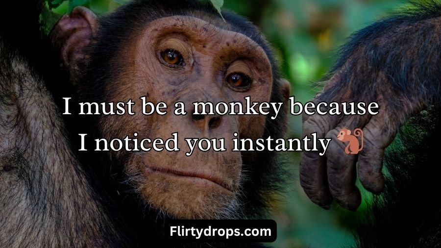 Monkey Pick Up Lines