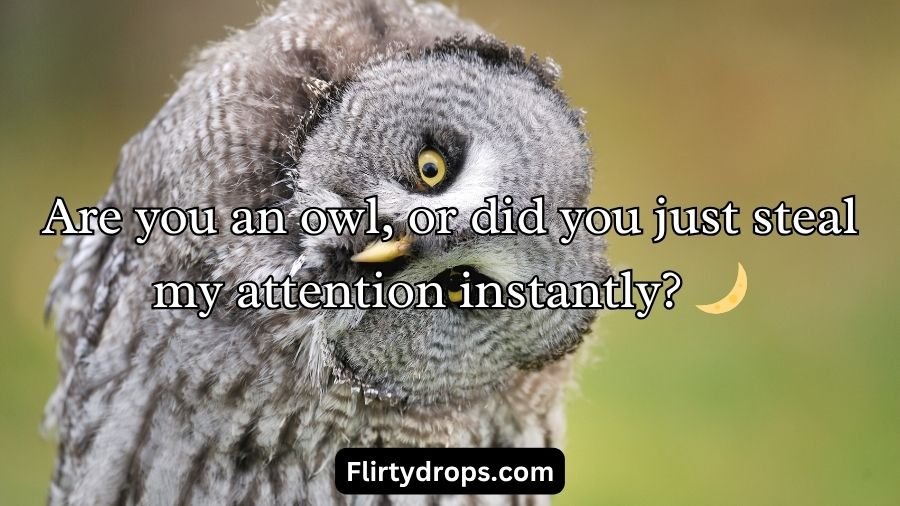 Best Owl Pick Up Lines