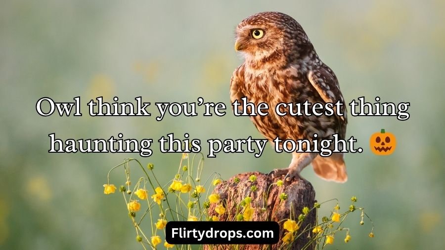 Best Owl Pick Up Lines