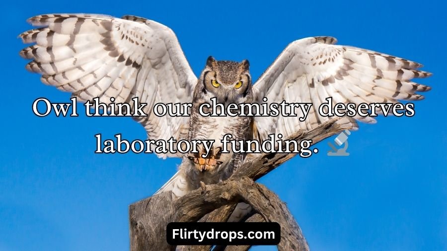Best Owl Pick Up Lines