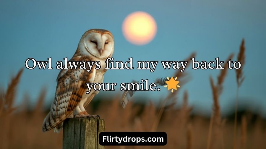 Best Owl Pick Up Lines
