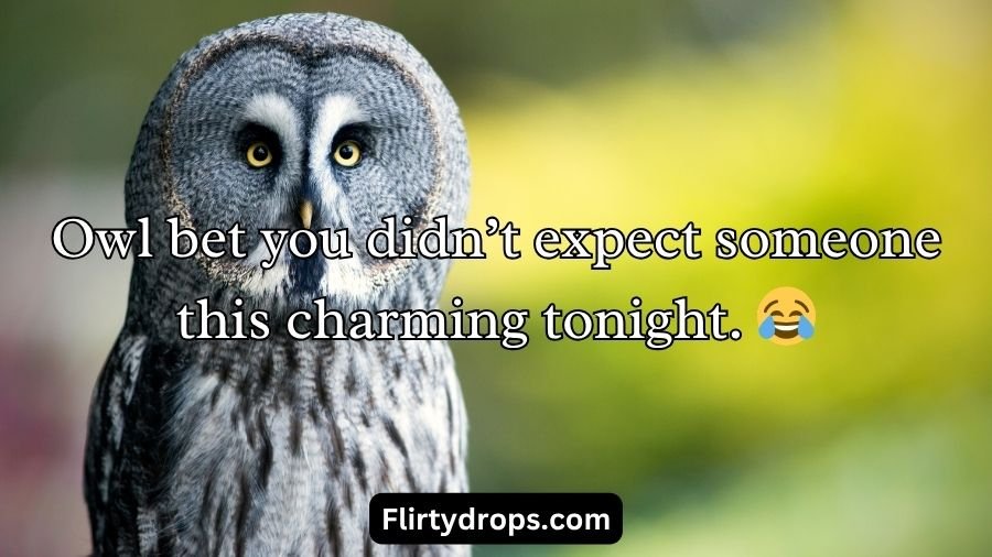 Best Owl Pick Up Lines