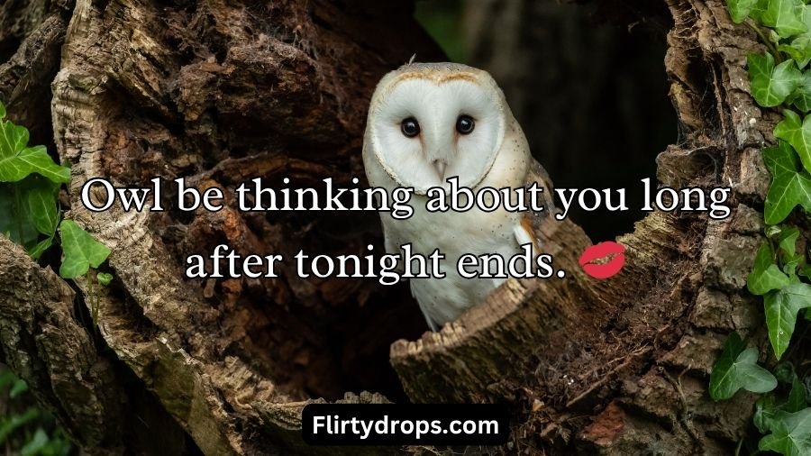 Best Owl Pick Up Lines