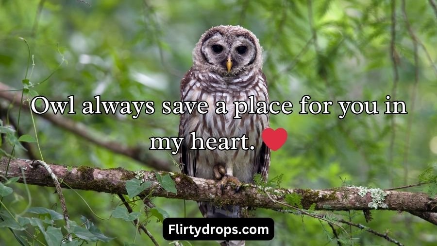 Best Owl Pick Up Lines