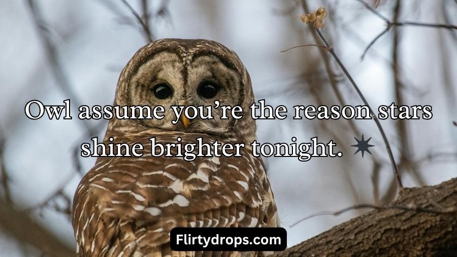 Best Owl Pick Up Lines
