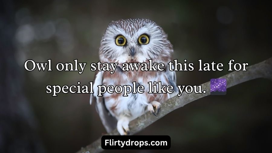 Best Owl Pick Up Lines