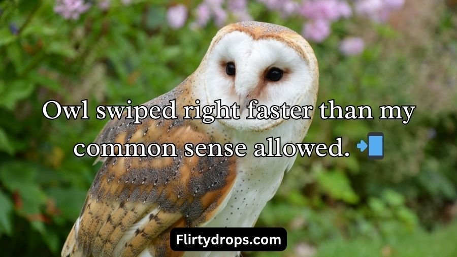 Best Owl Pick Up Lines