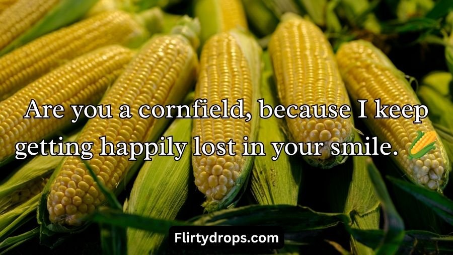 Corn Pick Up Lines