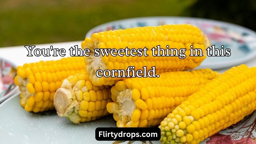 Corn Pick Up Lines