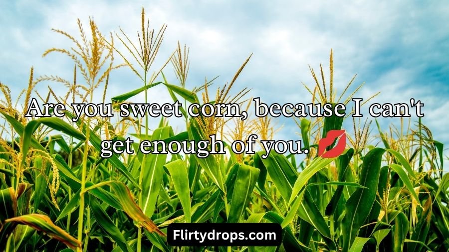 Corn Pick Up Lines