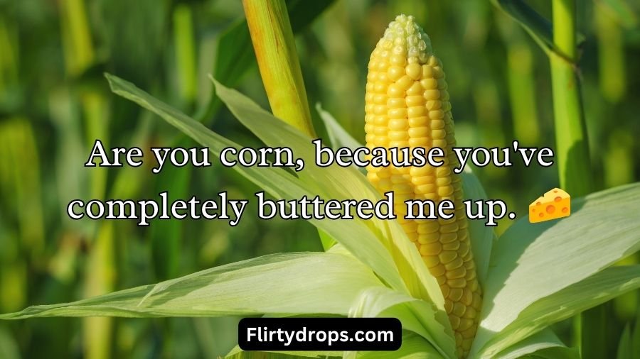 Corn Pick Up Lines