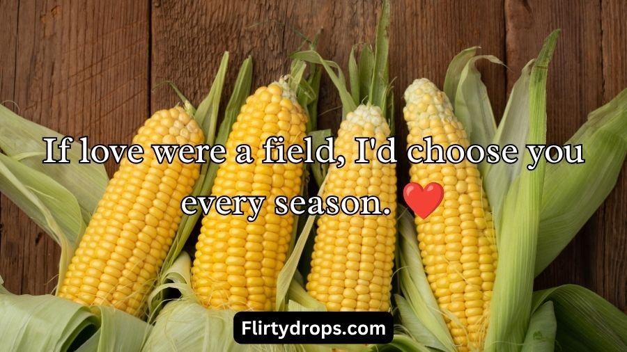 Corn Pick Up Lines