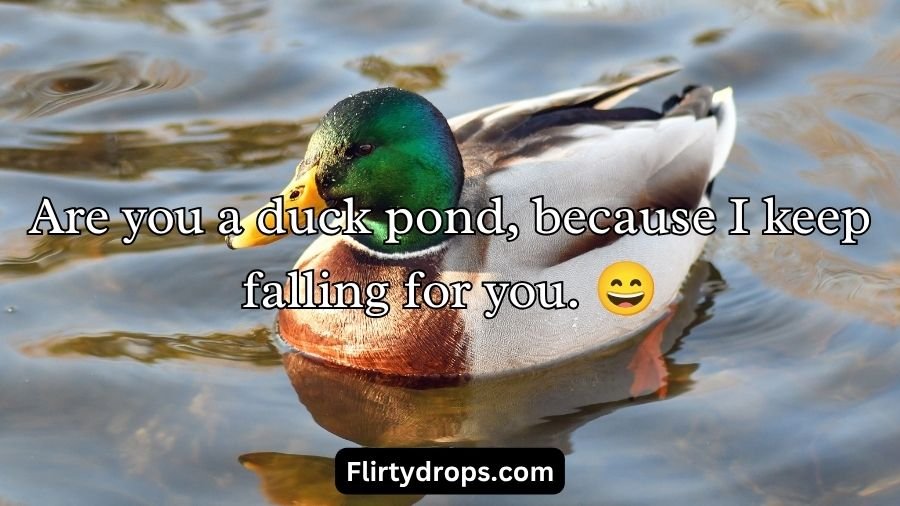 Duck Pick Up Lines