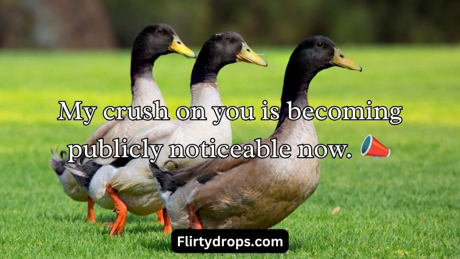 Duck Pick Up Lines