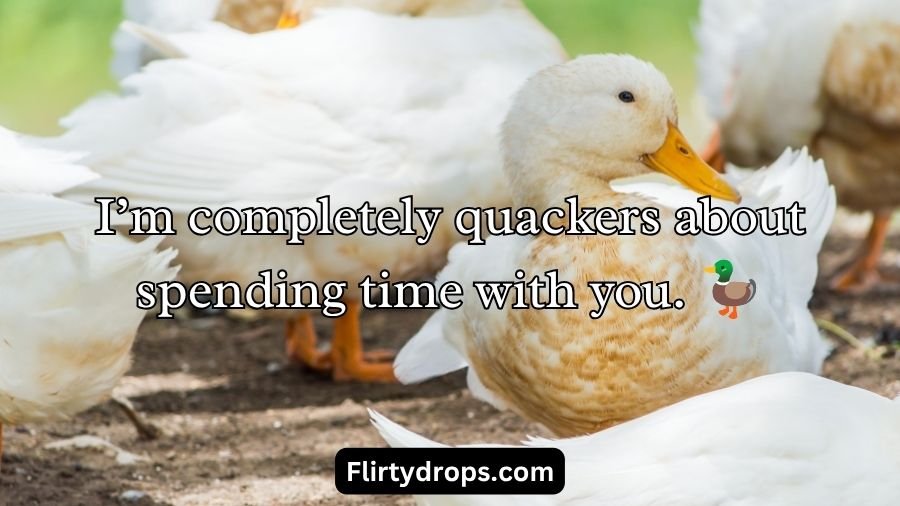 Duck Pick Up Lines