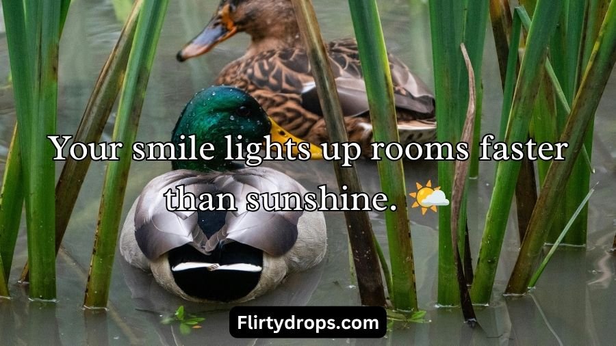 Duck Pick Up Lines