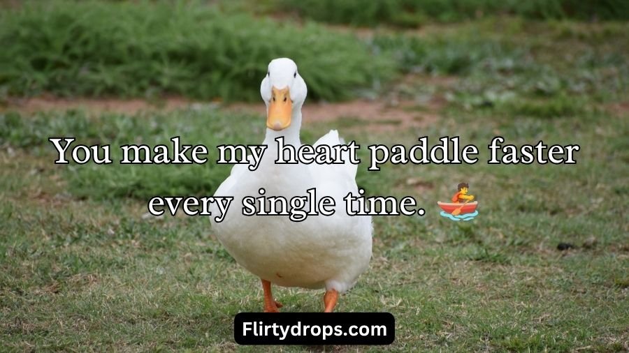 Duck Pick Up Lines