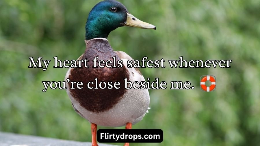 Duck Pick Up Lines