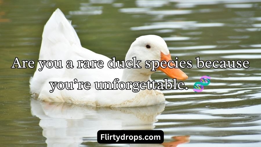 Duck Pick Up Lines