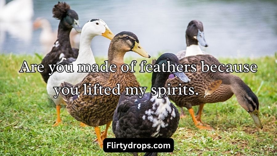 Duck Pick Up Lines