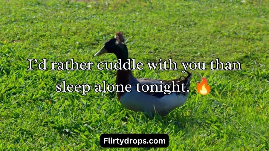 Duck Pick Up Lines
