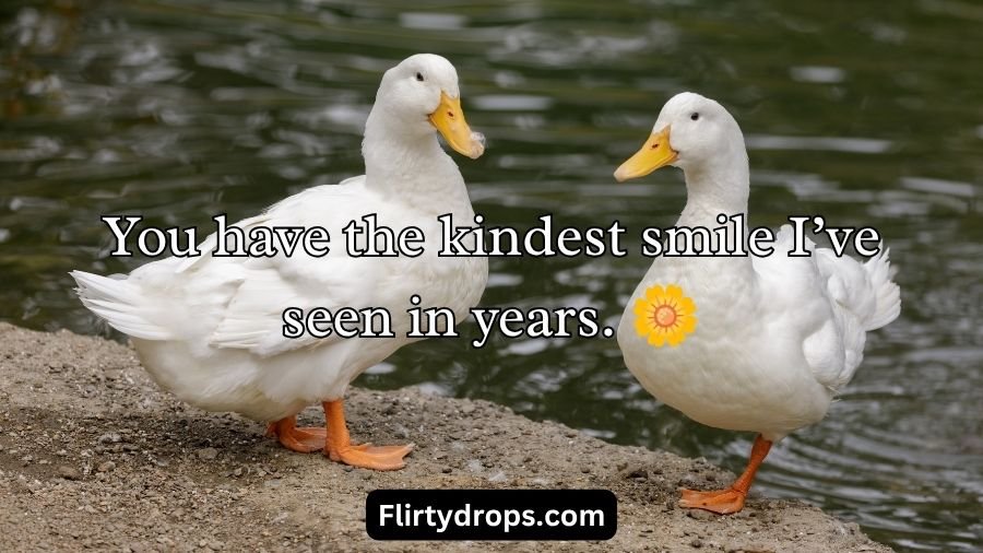 Duck Pick Up Lines