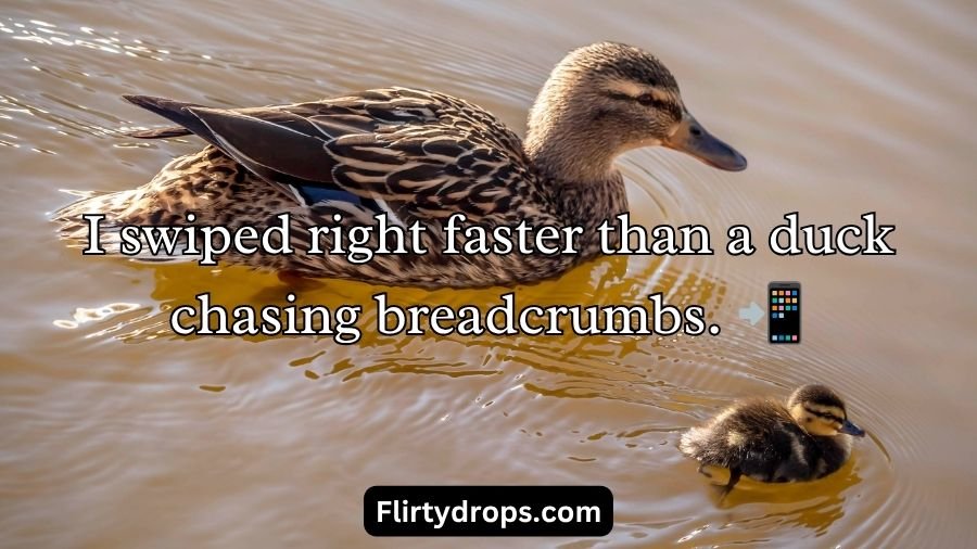 Duck Pick Up Lines