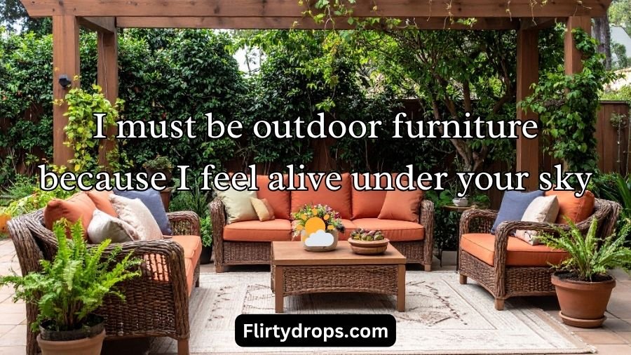 Furniture Pickup Lines