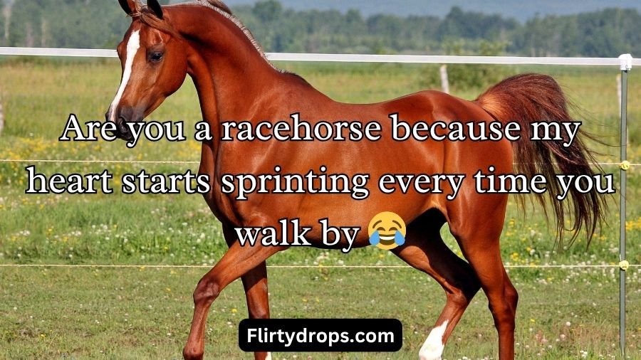 Horse Pick Up Lines