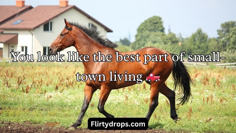Horse Pick Up Lines