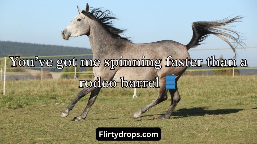 Horse Pick Up Lines