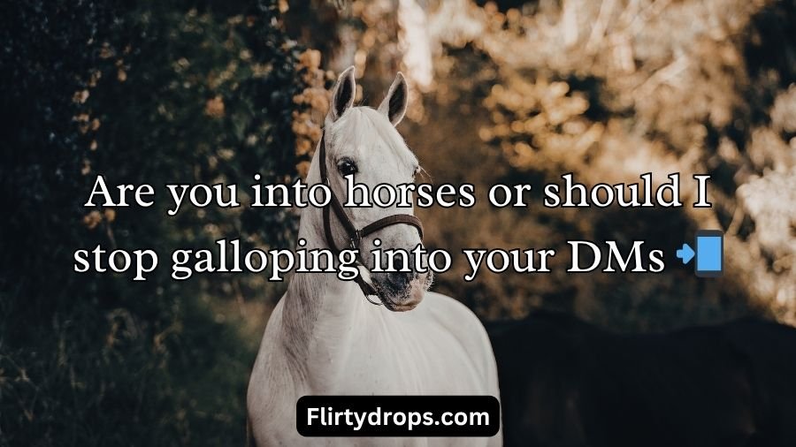 Horse Pick Up Lines