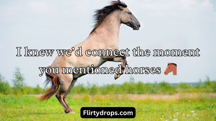 Horse Pick Up Lines