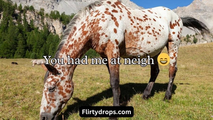 Horse Pick Up Lines