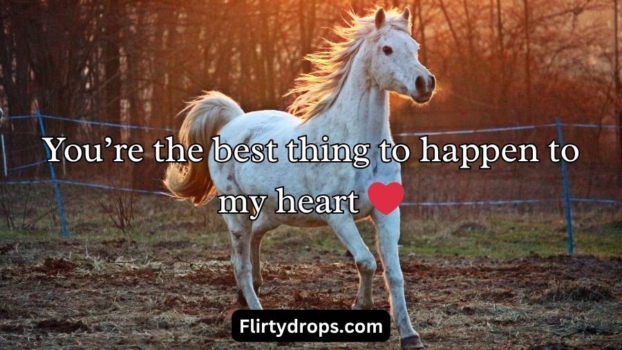 Horse Pick Up Lines
