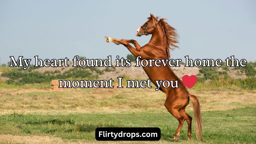 Horse Pick Up Lines