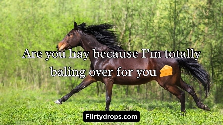 Horse Pick Up Lines