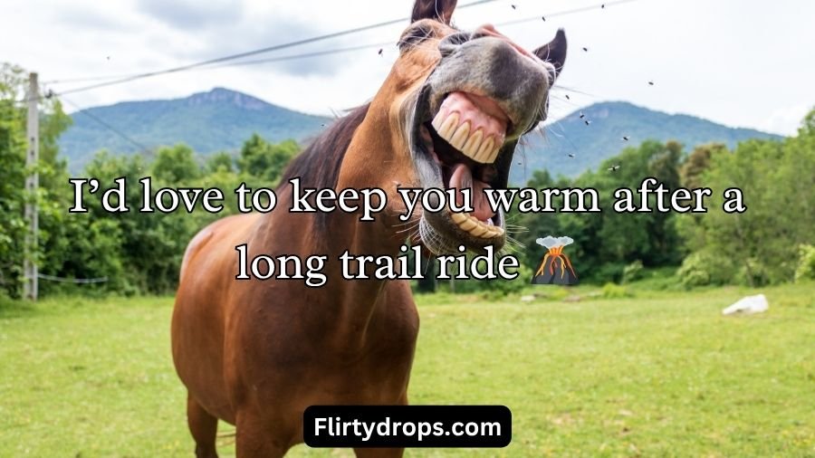 Horse Pick Up Lines