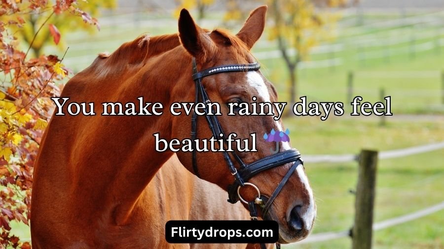 Horse Pick Up Lines
