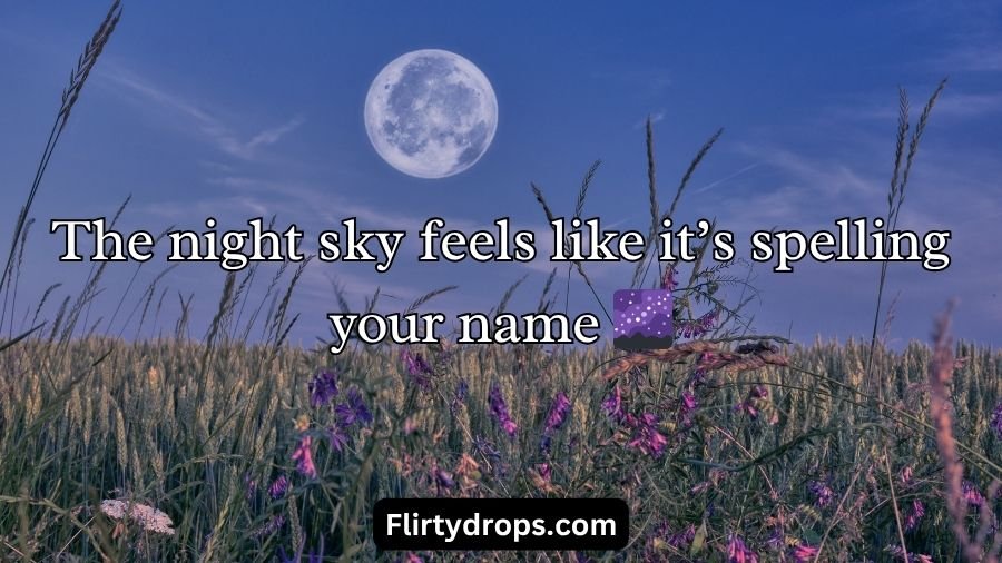 Moon Pick Up Lines