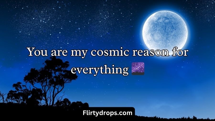 Moon Pick Up Lines