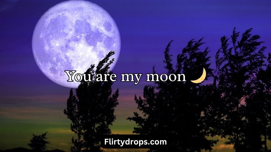 Moon Pick Up Lines