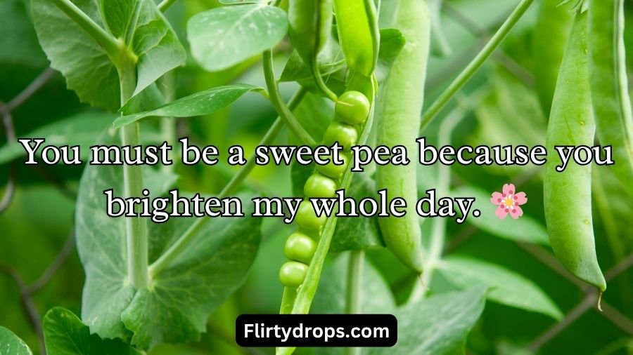 Pea Pickup Lines