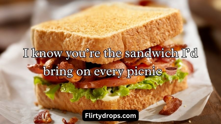 Sandwich Pickup Lines